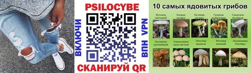 KRAKEN ссылки Мамадыш Галлюциногенные грибы Magic Shrooms